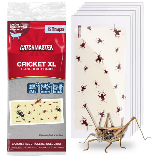 Catchmaster CricketXL Giant Glue Boards are an effective solution for catching crickets and other crawling insects in your home.