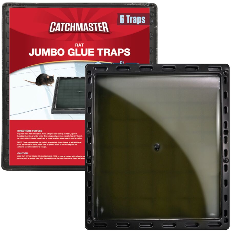 Jumbo Glue Traps for Large Rodents and Other Pests Jumbo Glue Traps for Large Rodents and Other Pests