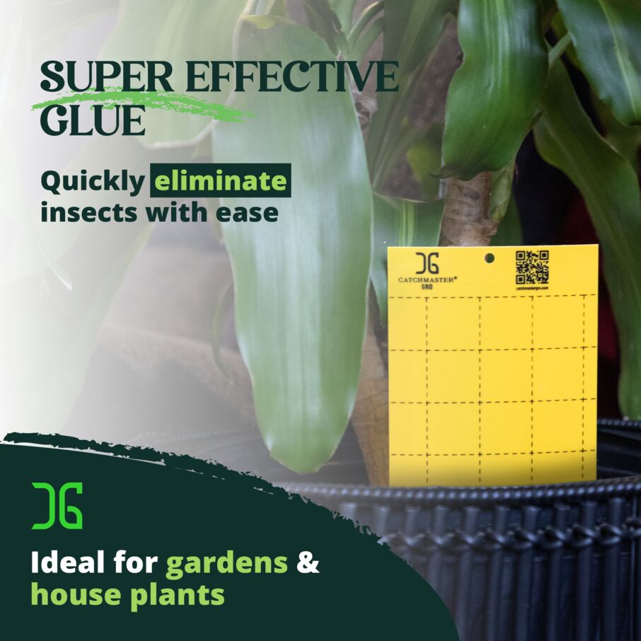 Yellow Sticky Trap for Garden and Plant Pest Control Yellow Sticky Trap for Garden and Plant Pest Control