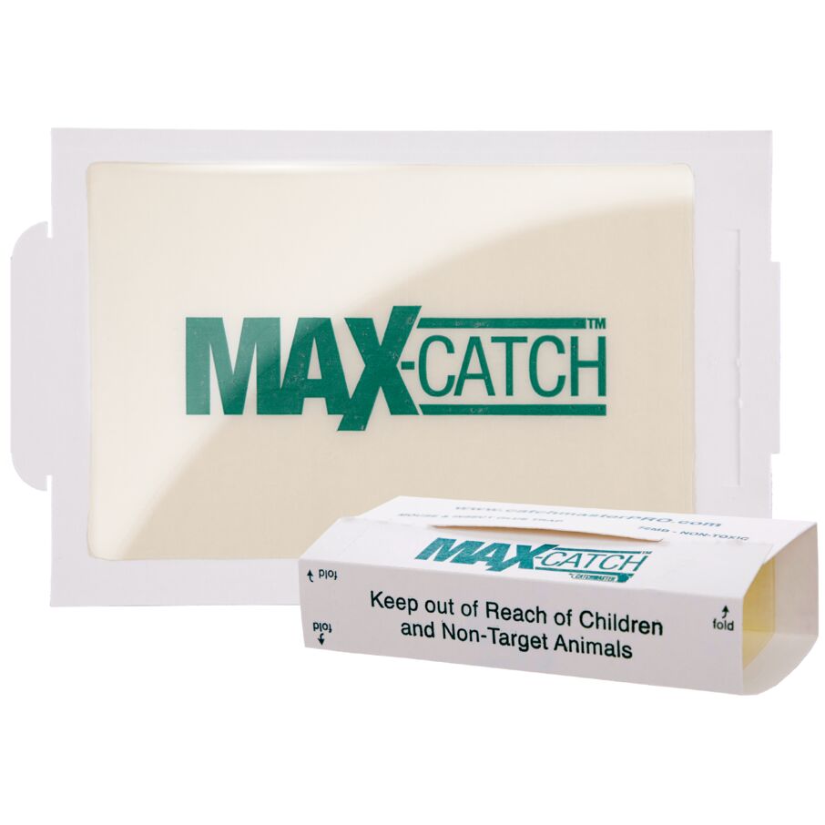 Max-Catch Unscented Glue Board Traps Max-Catch Unscented Glue Board Traps
