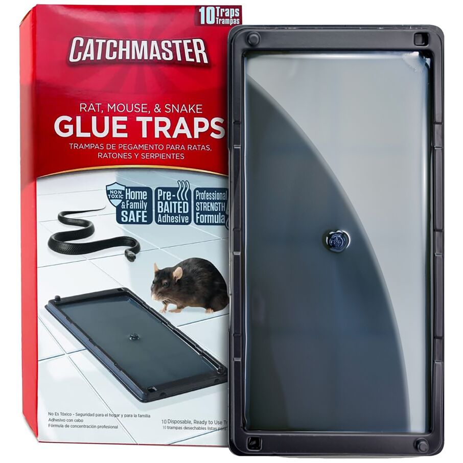 Non-Toxic Rat, Mouse & Insect Glue Traps Non-Toxic Rat, Mouse & Insect Glue Traps