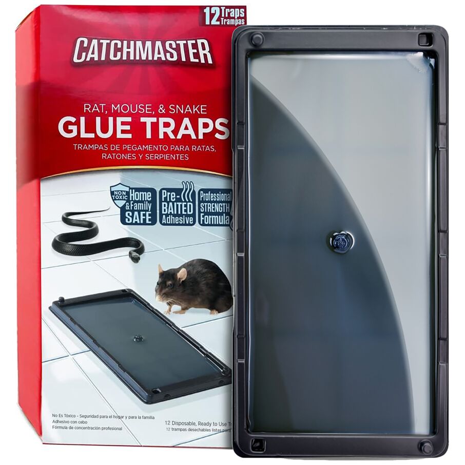 Non-Toxic Rat, Mouse & Insect Glue Traps Non-Toxic Rat, Mouse & Insect Glue Traps