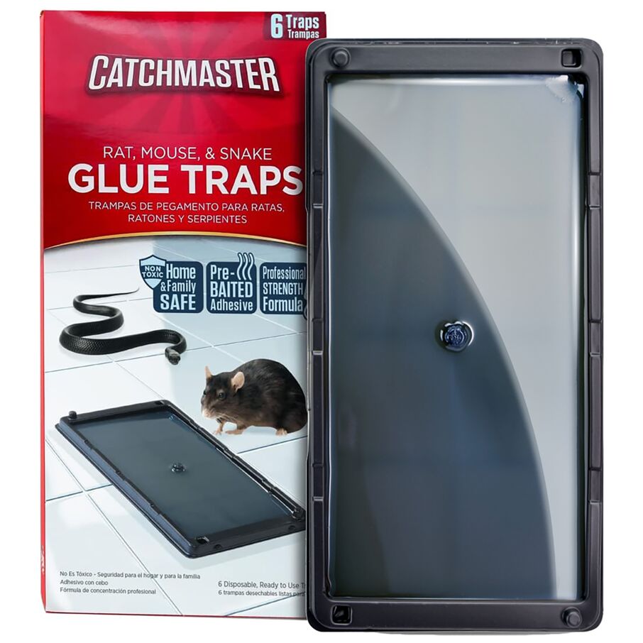 Non-Toxic Rat, Mouse & Insect Glue Traps Non-Toxic Rat, Mouse & Insect Glue Traps