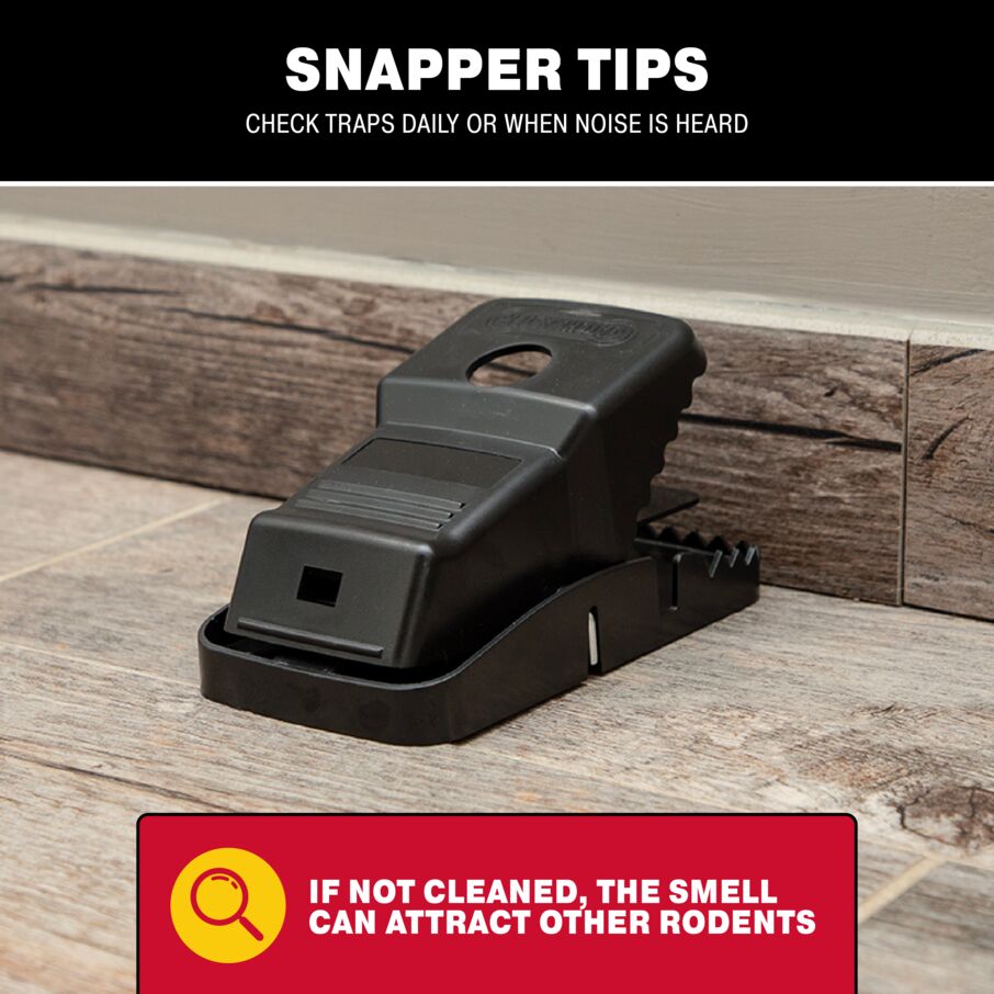 Jumbo Snapper Rodent Snap Trap Jumbo Snapper Rodent Snap Trap