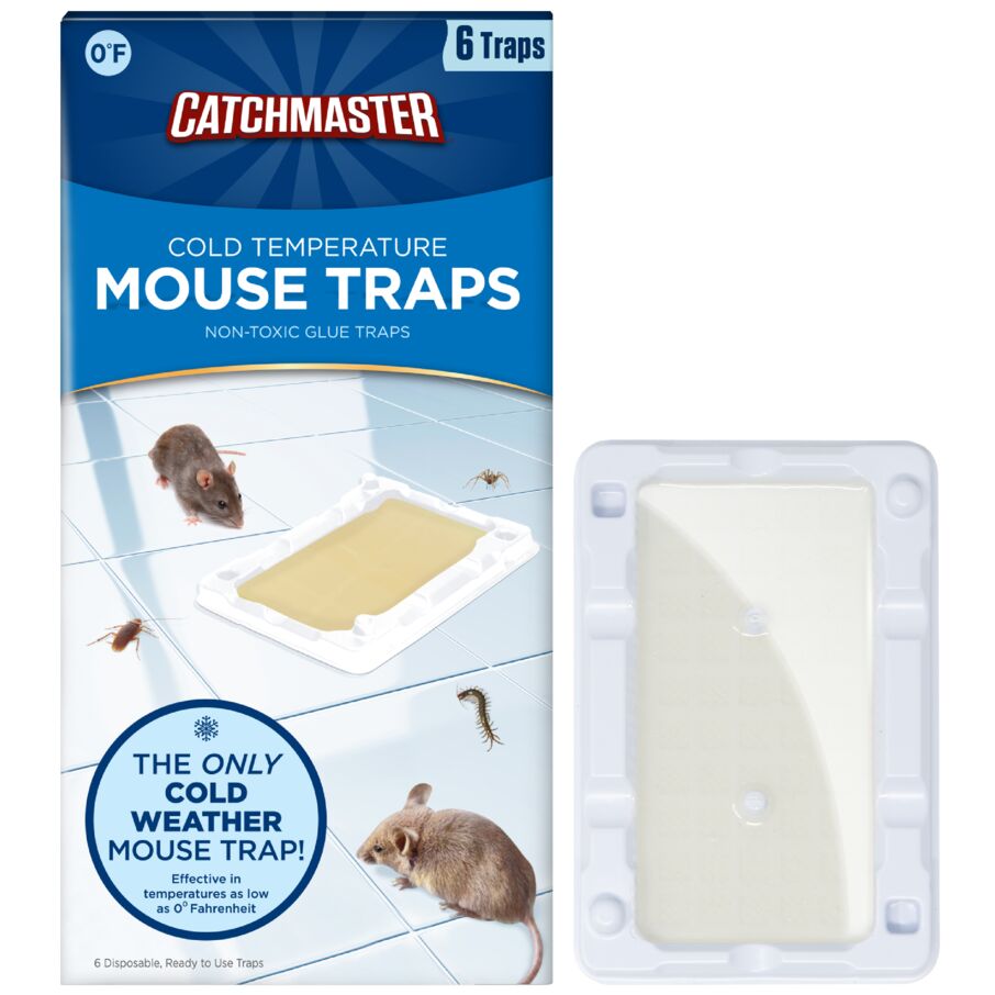 Cold-Temp Glue Tray: Mouse, Rodent &amp; Insect Control - Catchmaster