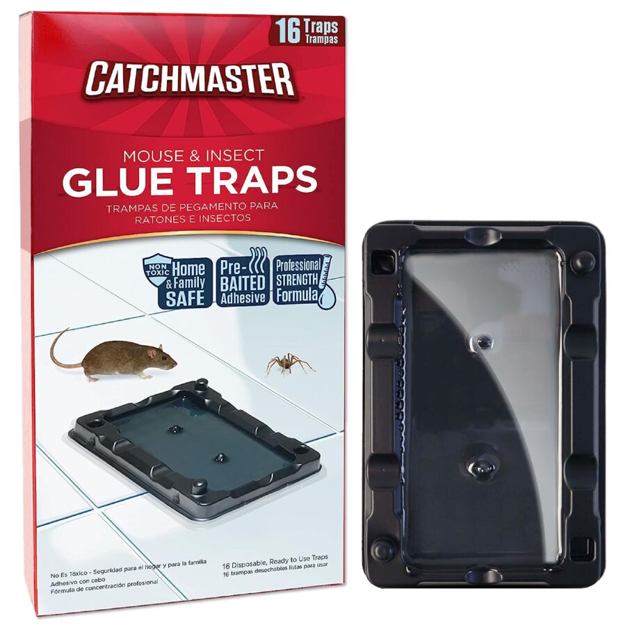 Mouse & Insect Glue Traps Mouse & Insect Glue Traps