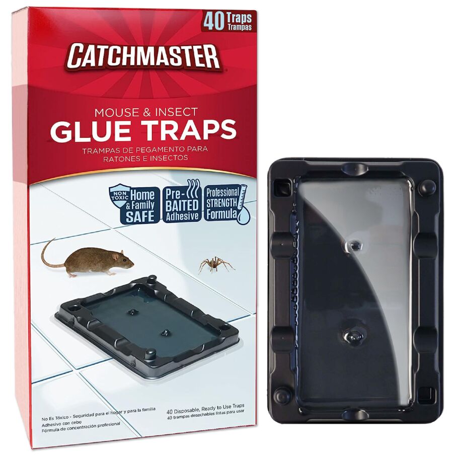 Mouse & Insect Glue Traps Mouse & Insect Glue Traps