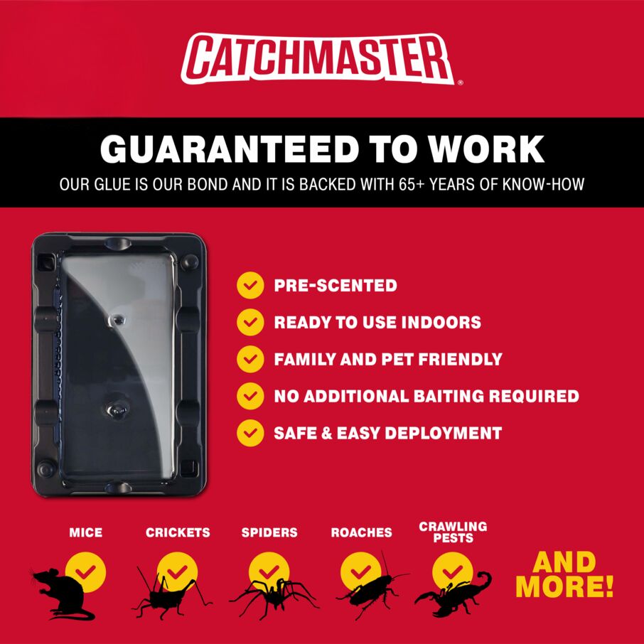 Mouse & Insect Glue Traps Mouse & Insect Glue Traps