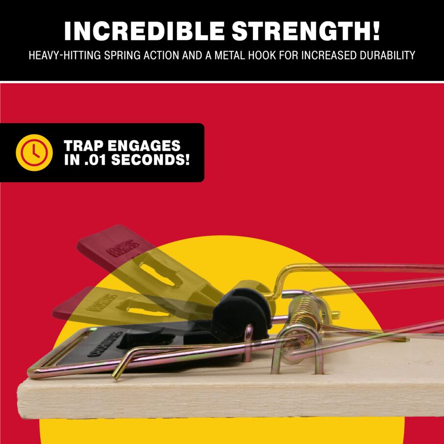 Instant Kill Mouse Snap Trap Instant Kill Mouse Snap Trap