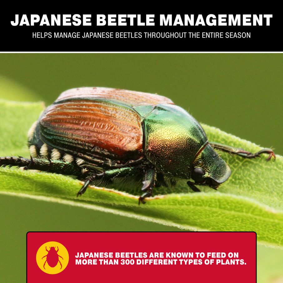 Dual Lure System Japanese Beetle Bag Trap Dual Lure System Japanese Beetle Bag Trap