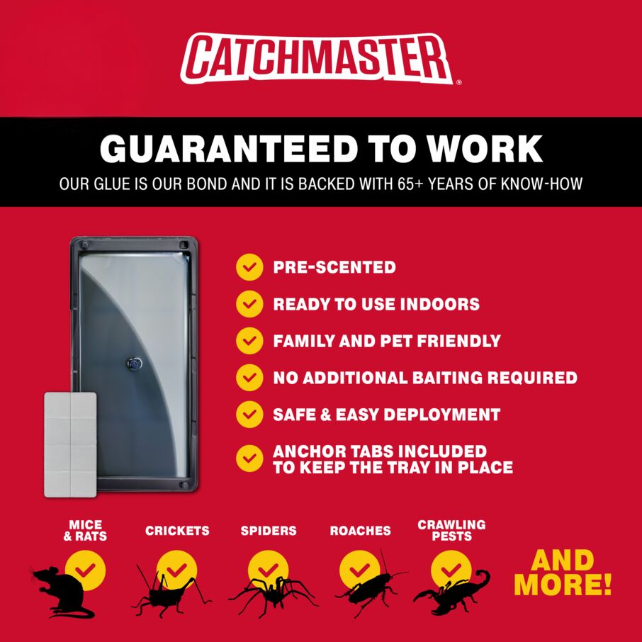 Heavy-Duty Rat, Mouse & Insect Glue Traps Heavy-Duty Rat, Mouse & Insect Glue Traps