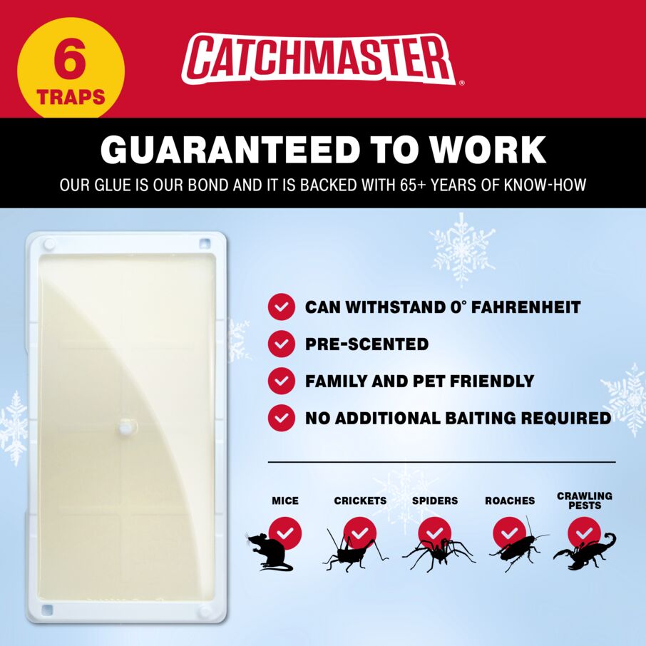Rodent & Insect Glue Trays for Cold Weather Rodent & Insect Glue Trays for Cold Weather