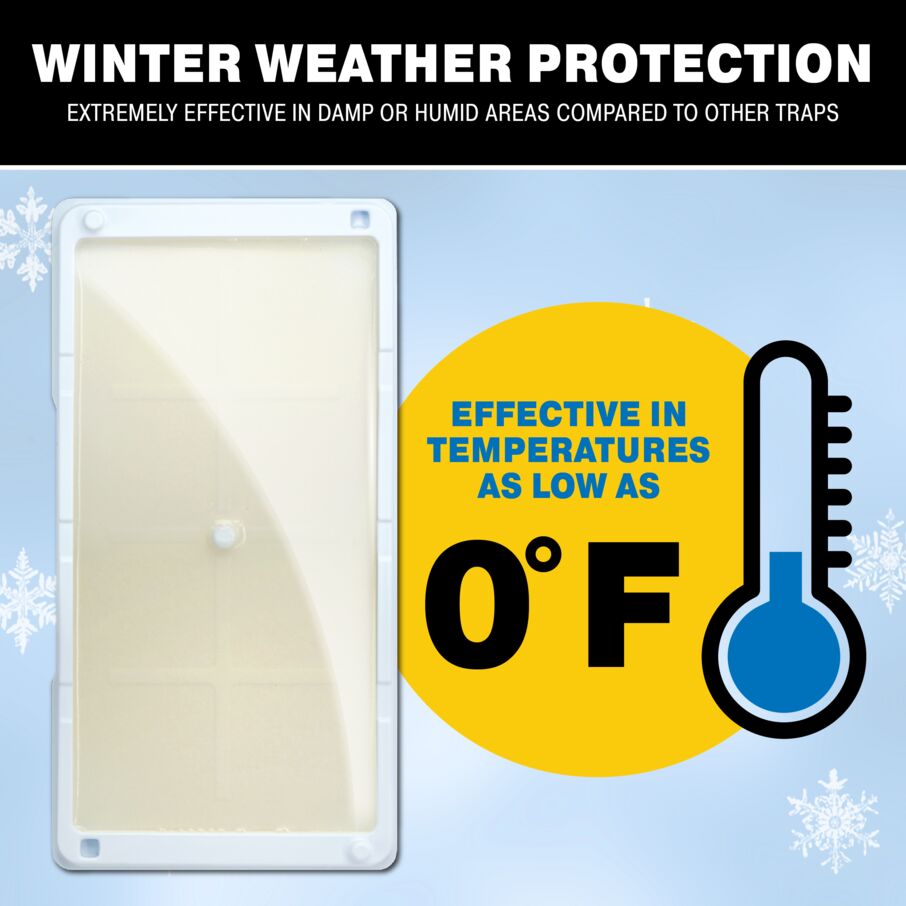 Rodent & Insect Glue Trays for Cold Weather Rodent & Insect Glue Trays for Cold Weather