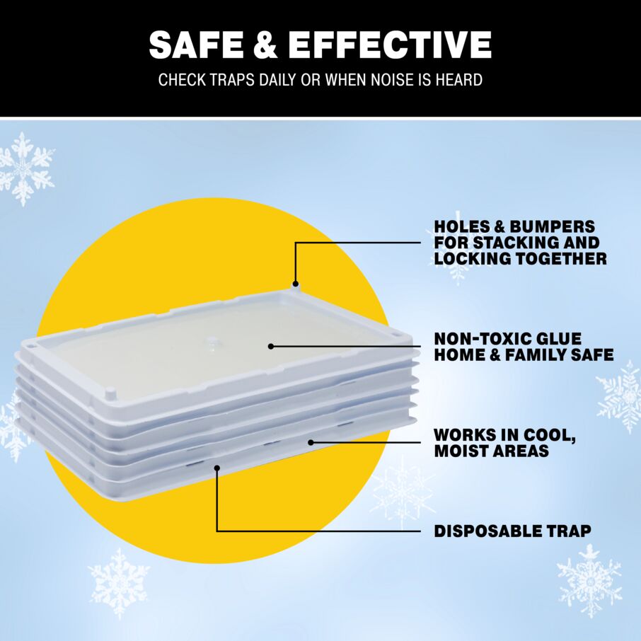 Rodent & Insect Glue Trays for Cold Weather Rodent & Insect Glue Trays for Cold Weather