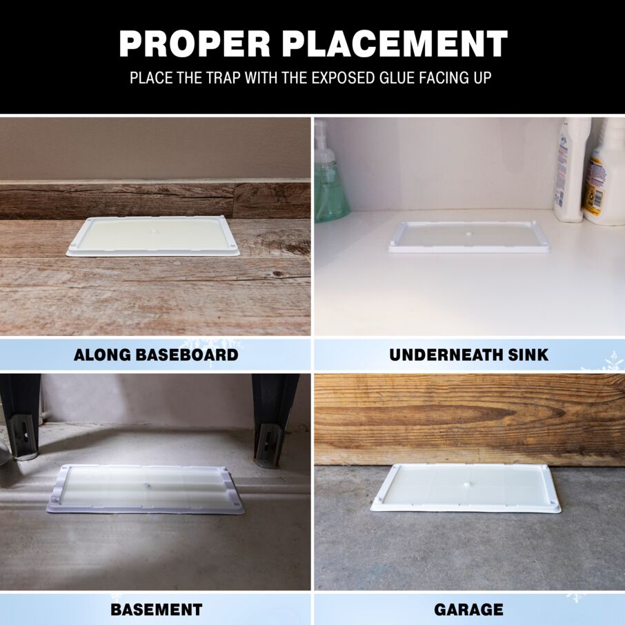 Rodent & Insect Glue Trays for Cold Weather Rodent & Insect Glue Trays for Cold Weather