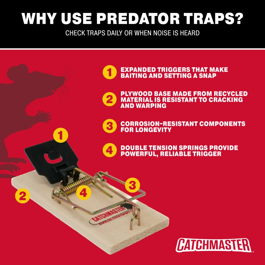 Instant Kill Mouse Snap Trap Instant Kill Mouse Snap Trap