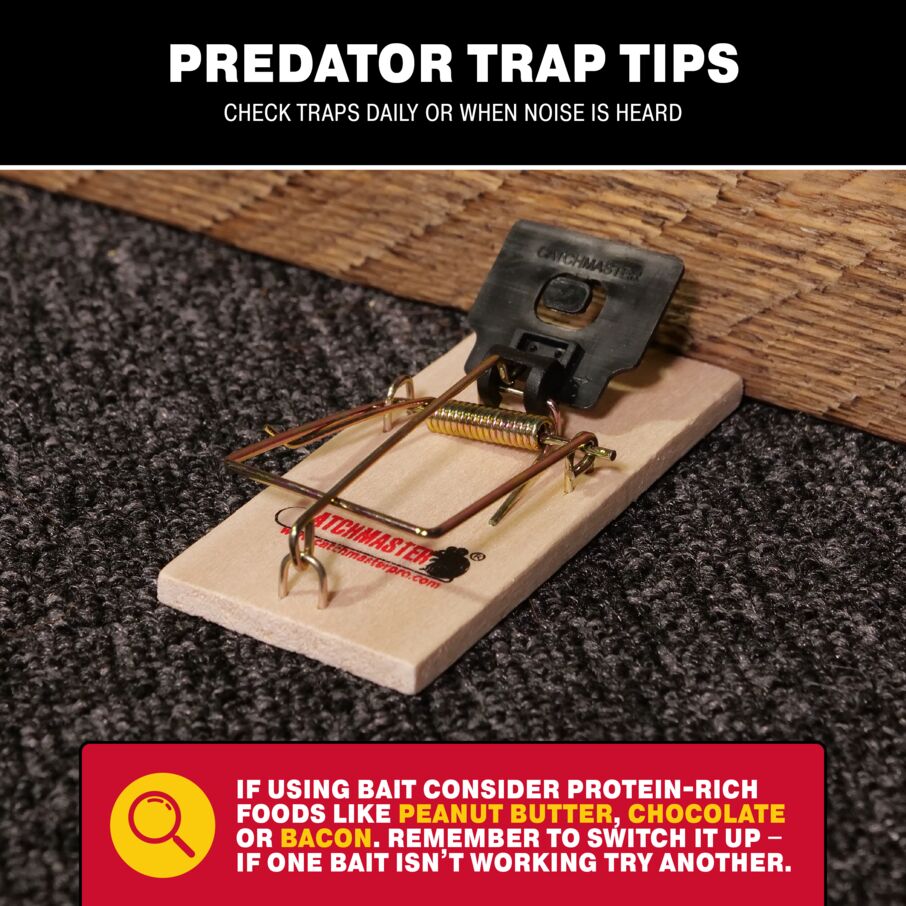 Instant Kill Mouse Snap Trap Instant Kill Mouse Snap Trap