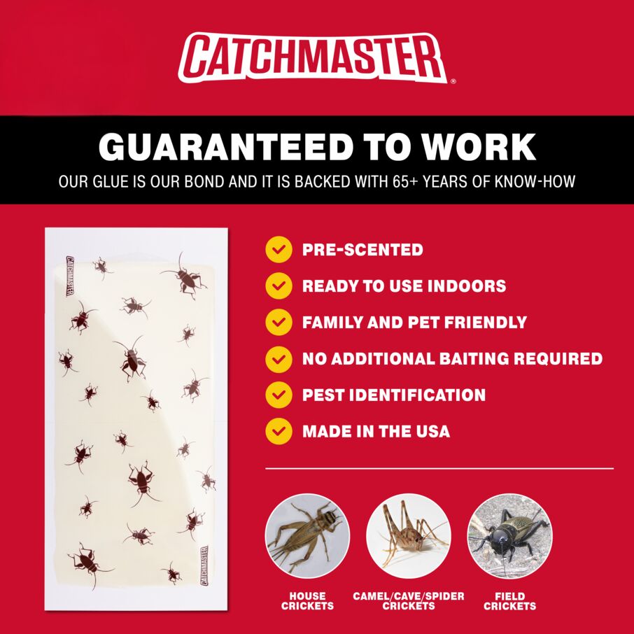 Cricket XL Glue Board Traps Cricket XL Glue Board Traps