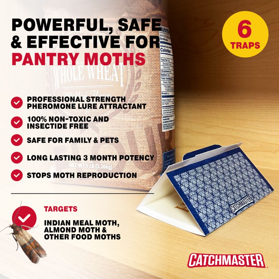 Decorative Pantry Moth Glue Board Traps Decorative Pantry Moth Glue Board Traps