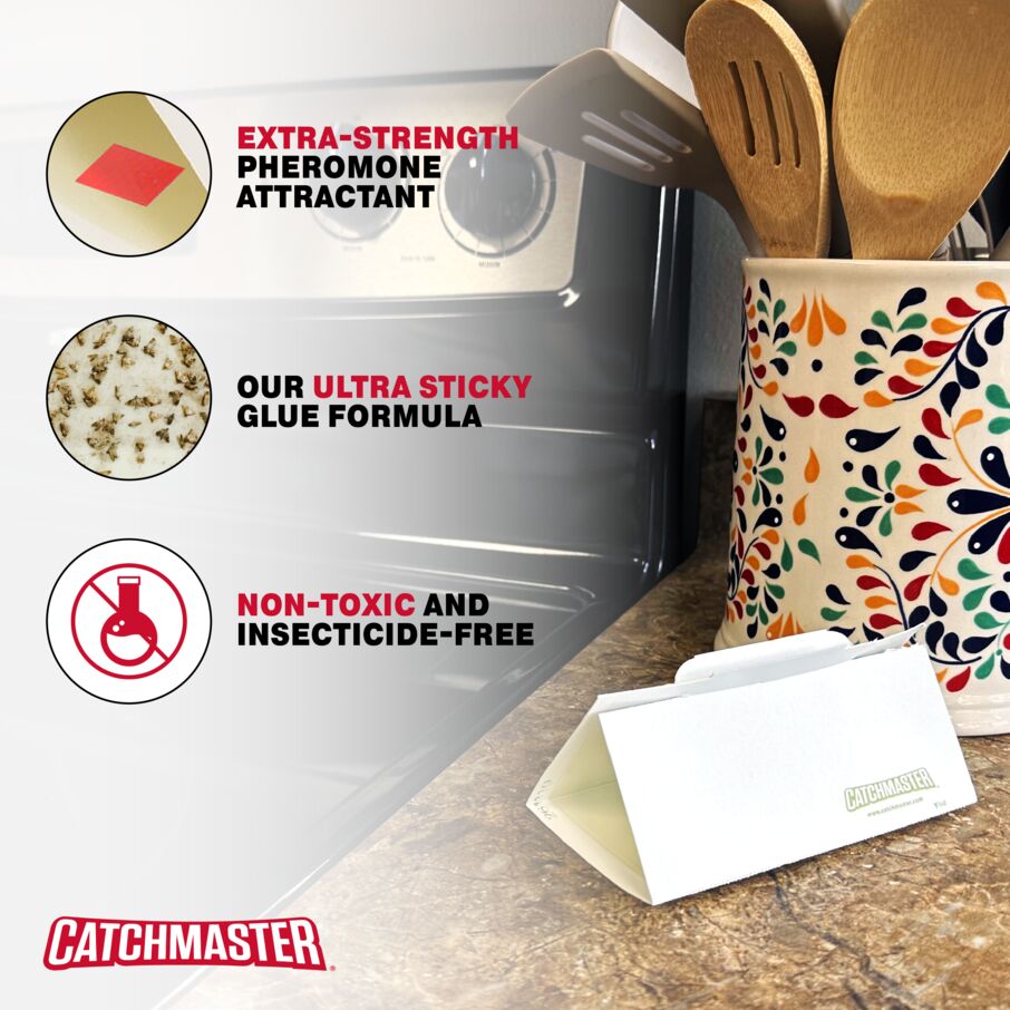 Pantry Pest & Moth Pheromone Infused Glue Board Traps Pantry Pest & Moth Pheromone Infused Glue Board Traps
