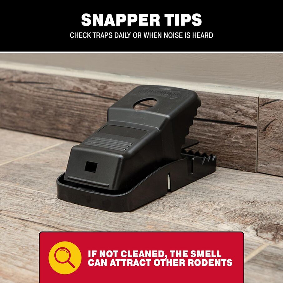 Jumbo Rat Snap Traps for Rodent Control Jumbo Rat Snap Traps for Rodent Control