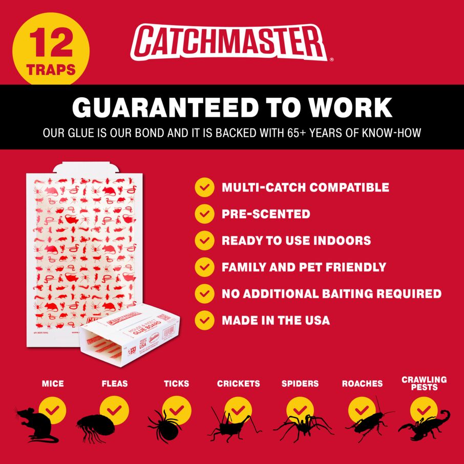 Patterned Glue Board Traps for Rodent & Insects Patterned Glue Board Traps for Rodent & Insects