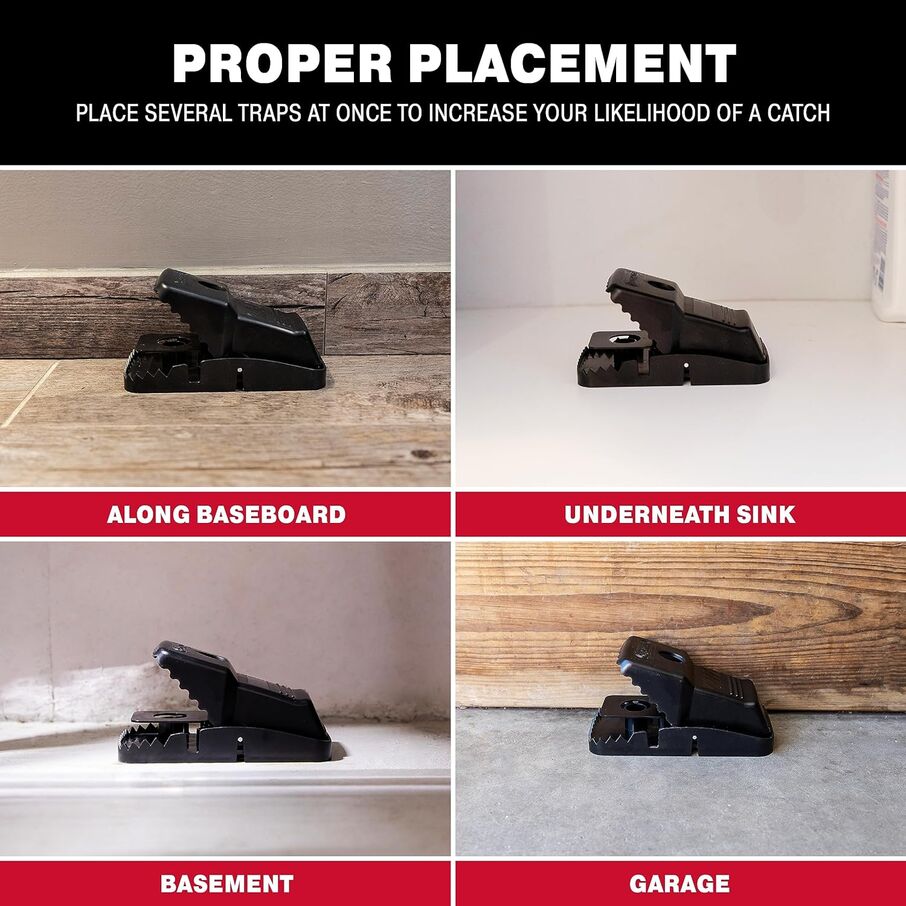 Jumbo Rat Snap Traps for Rodent Control Jumbo Rat Snap Traps for Rodent Control