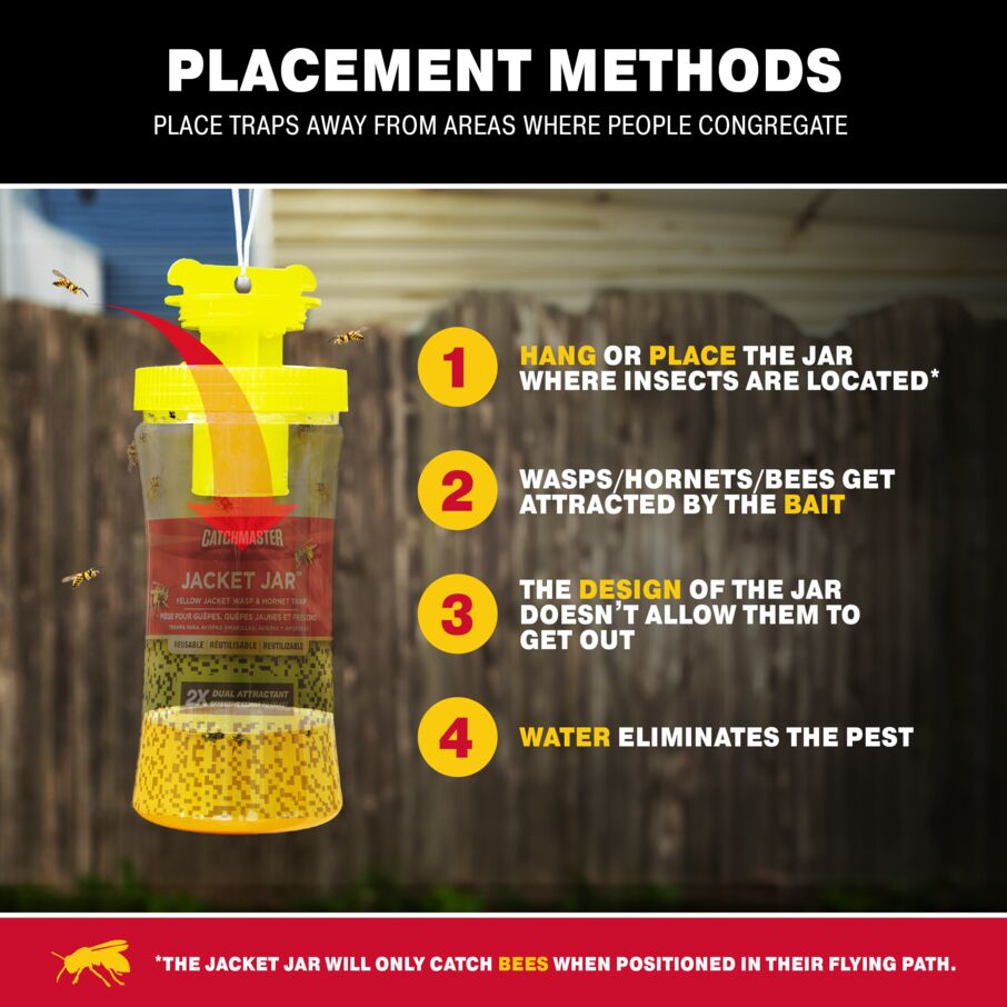 Yellow Jacket, Hornet Bee & Wasp Trap Yellow Jacket, Hornet Bee & Wasp Trap