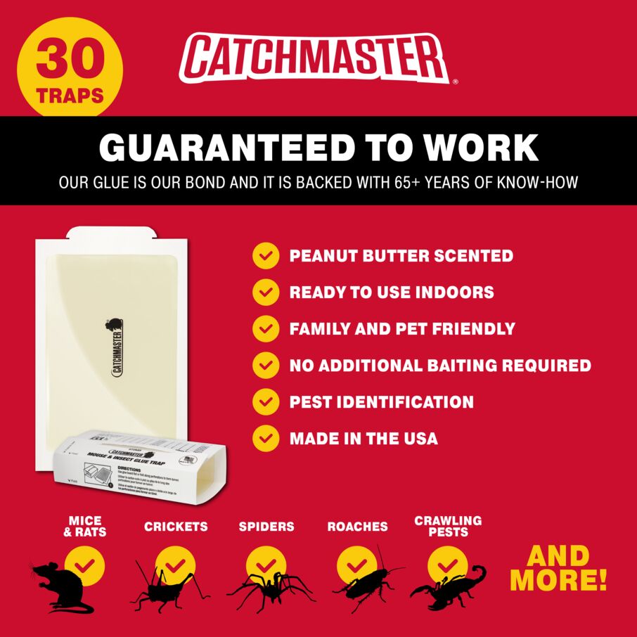 Peanut Butter-Scented Glue Traps for Rodents and Insects Peanut Butter-Scented Glue Traps for Rodents and Insects