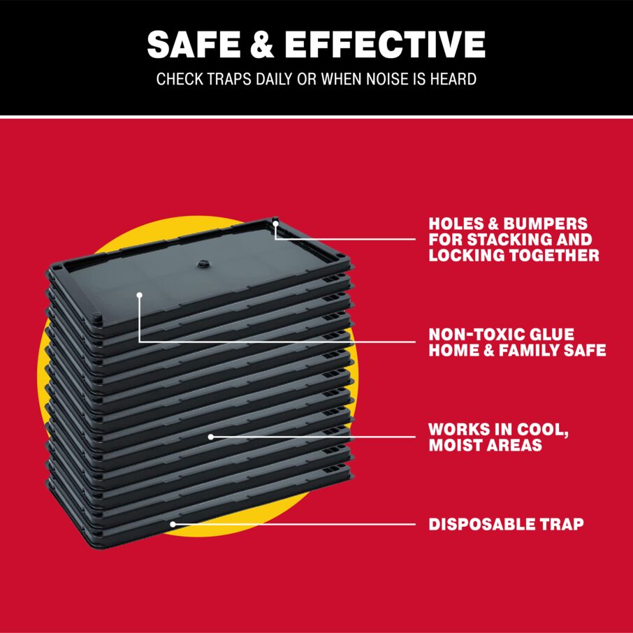 Non-Toxic Rat, Mouse & Insect Glue Traps Non-Toxic Rat, Mouse & Insect Glue Traps