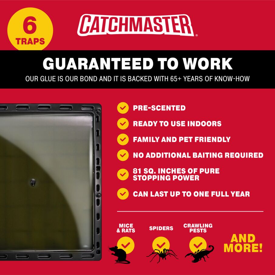 Jumbo Glue Traps for Large Rodents and Other Pests Jumbo Glue Traps for Large Rodents and Other Pests