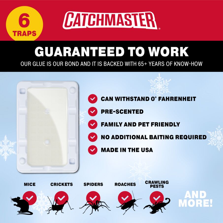 Mouse & Insect Glue Trays for Cold Weather Mouse & Insect Glue Trays for Cold Weather