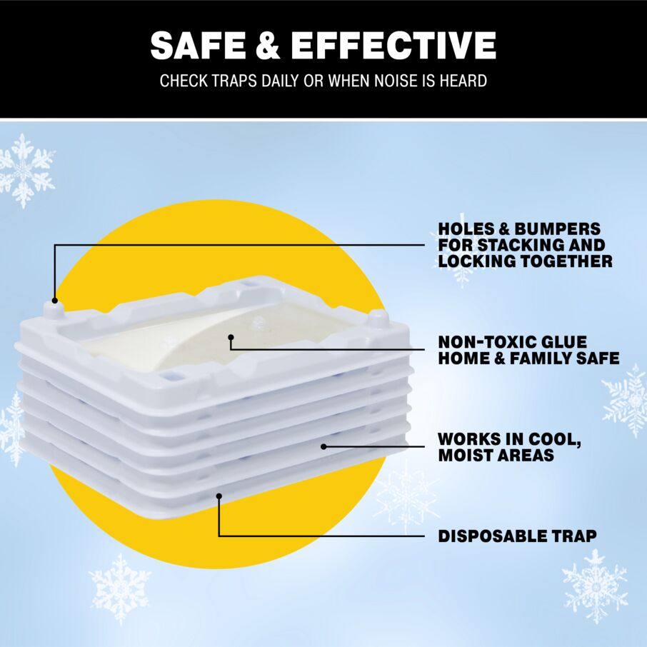Mouse & Insect Glue Trays for Cold Weather Mouse & Insect Glue Trays for Cold Weather