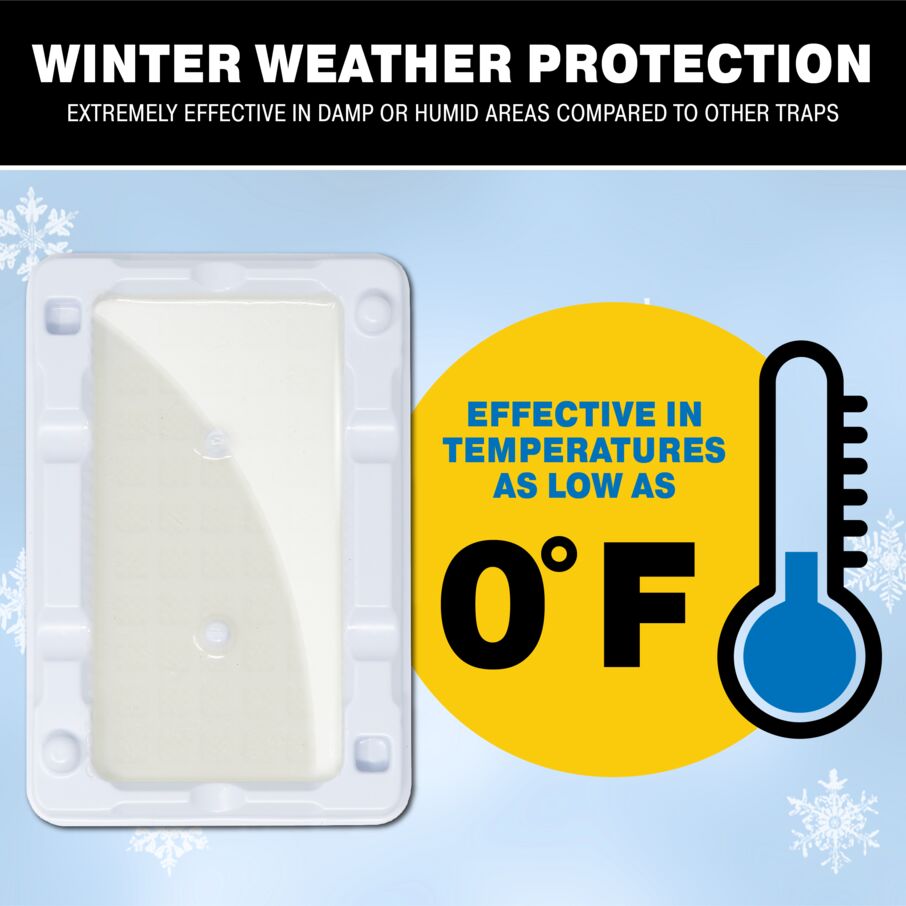 Mouse & Insect Glue Trays for Cold Weather Mouse & Insect Glue Trays for Cold Weather
