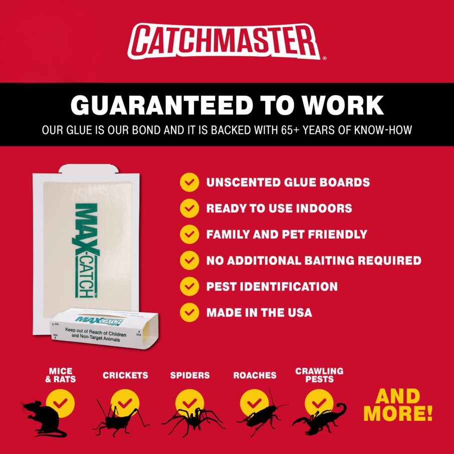 Max-Catch Unscented Glue Board Traps Max-Catch Unscented Glue Board Traps