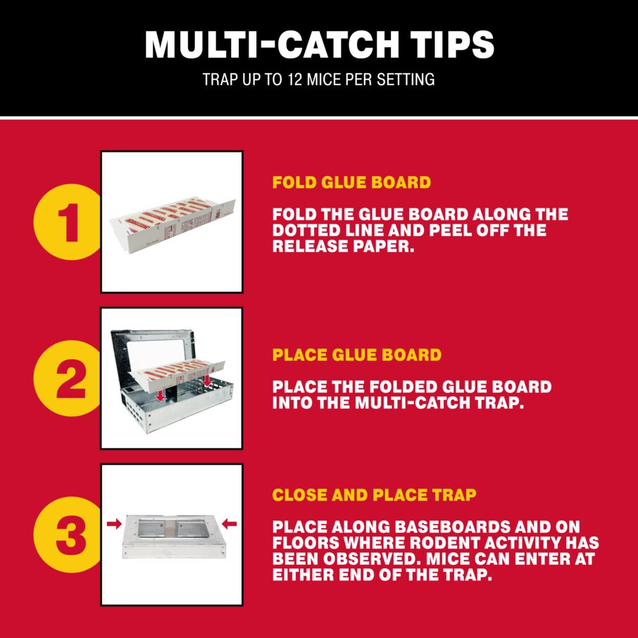 Pro Series Multi-Catch Mouse Trap & Glue Board Traps Pro Series Multi-Catch Mouse Trap & Glue Board Traps