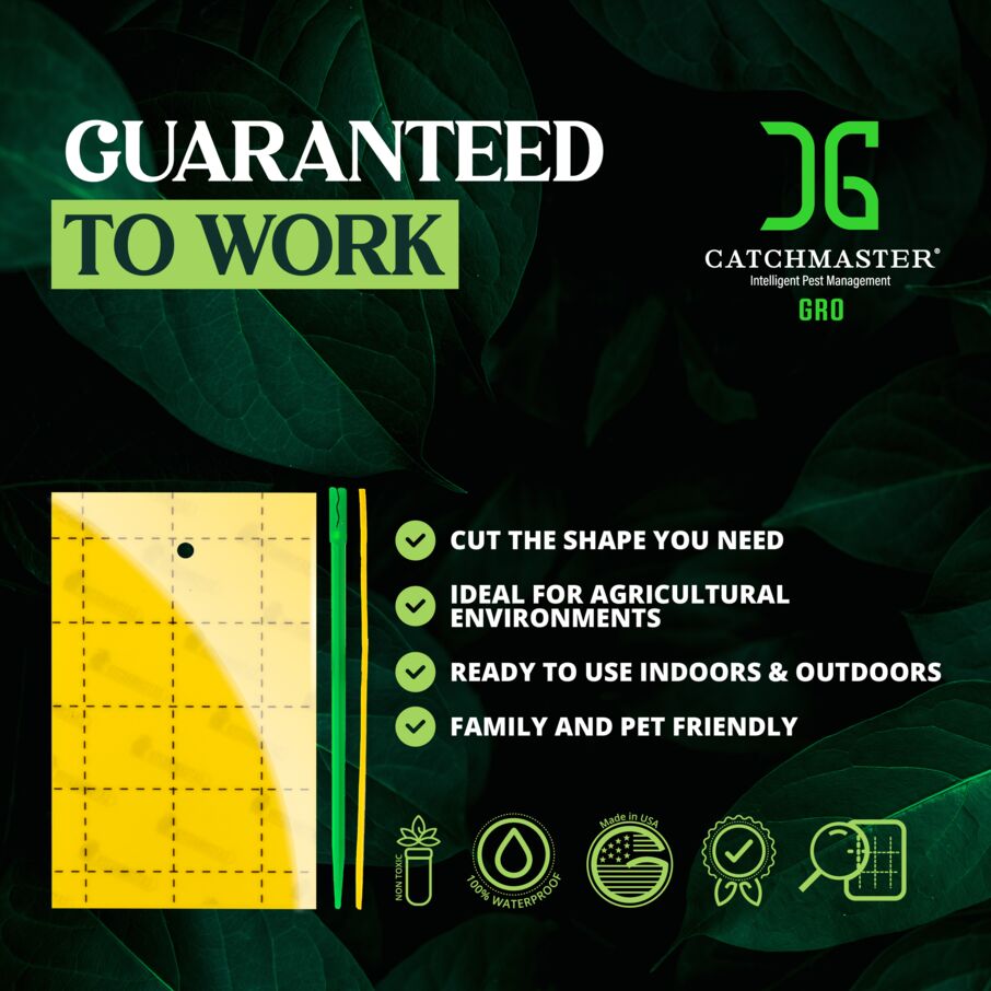 3"x5" Double-Sided Yellow Sticky Card Insect Trap 3"x5" Double-Sided Yellow Sticky Card Insect Trap