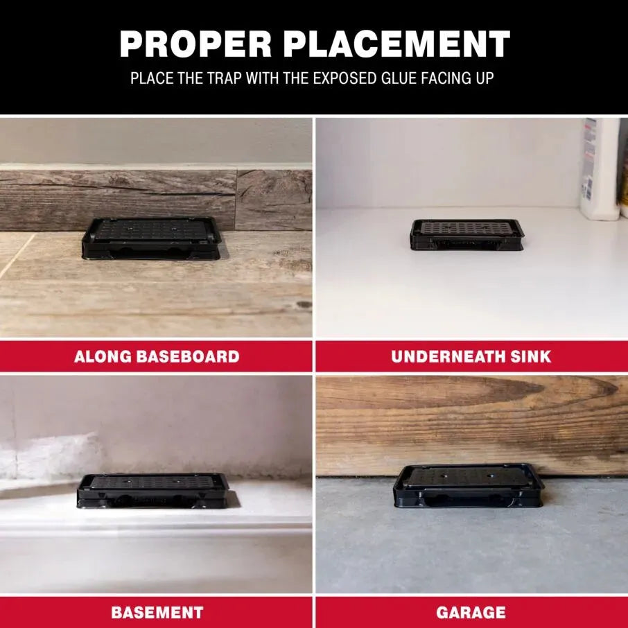 Scorpion Home Pest Control Glue Trays Scorpion Home Pest Control Glue Trays