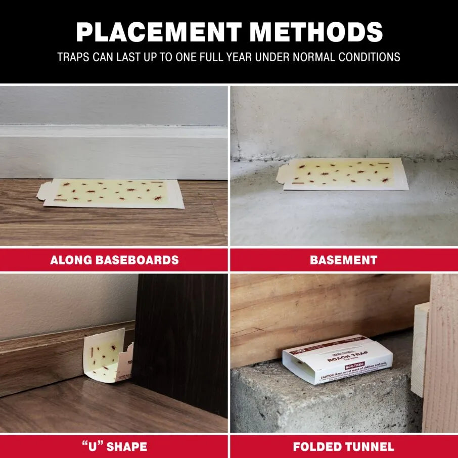 Cockroach Glue Trap Cockroach Glue Trap