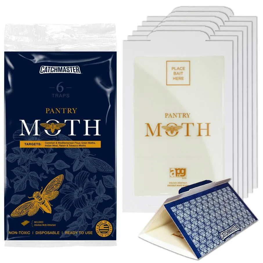 The Mediterranean Pantry Moth Species - A Homeowners Guide
