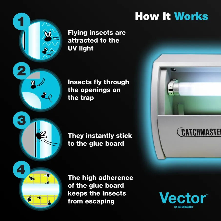 Light Fly Trap Infographic showing how Insects are Lured and Captured Light Fly Trap Infographic showing how Insects are Lured and Captured