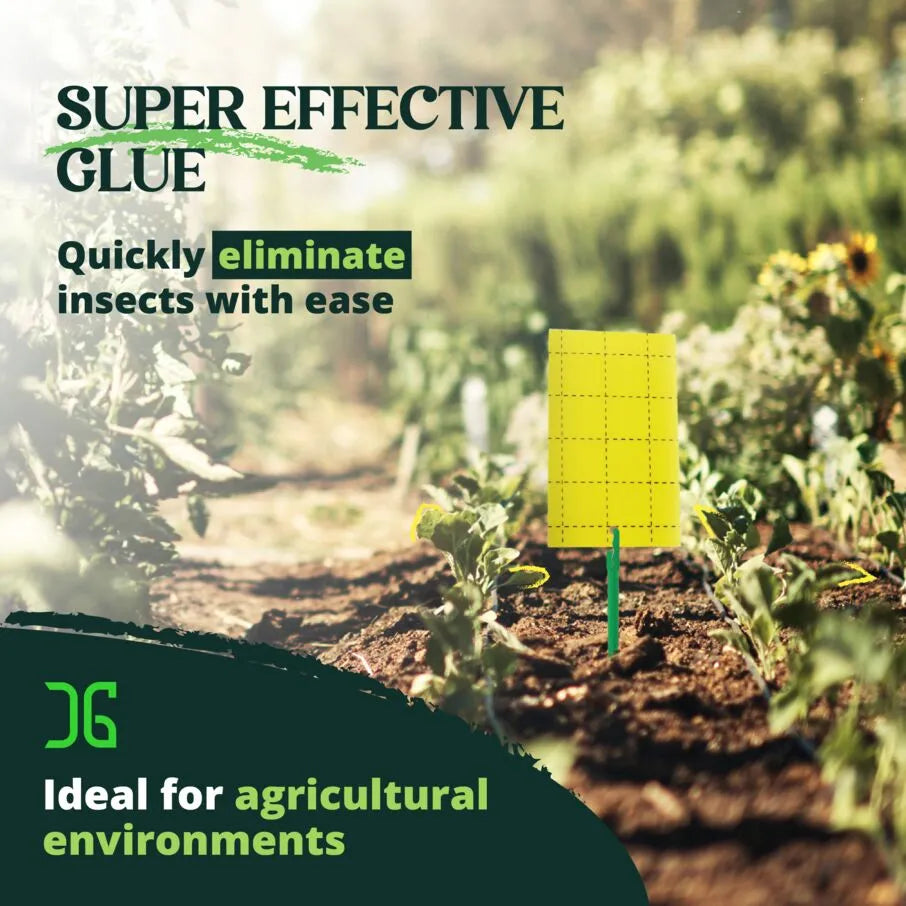 Double-Sided Yellow Sticky Card Insect Trap Double-Sided Yellow Sticky Card Insect Trap