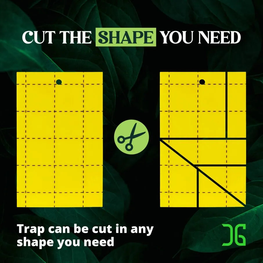 Double-Sided Yellow Sticky Card Insect Trap Double-Sided Yellow Sticky Card Insect Trap