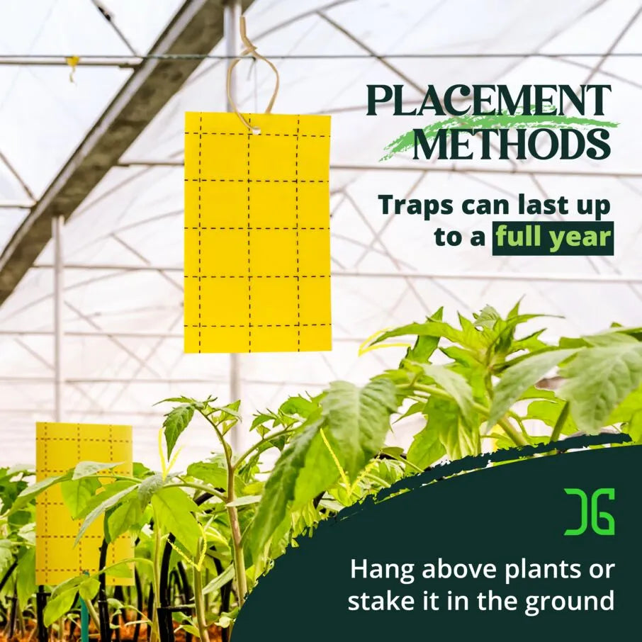 Double-Sided Yellow Sticky Card Insect Trap Double-Sided Yellow Sticky Card Insect Trap