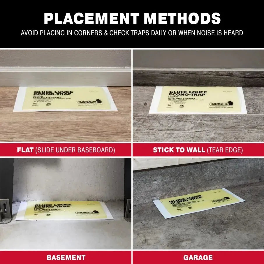 Gluee Louee Heavy Duty Econo-Trap Glue Board Traps Gluee Louee Heavy Duty Econo-Trap Glue Board Traps