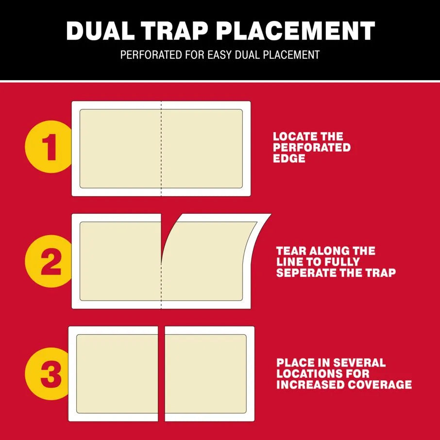 CricketXL Cricket Patterned Glue Board Traps CricketXL Cricket Patterned Glue Board Traps