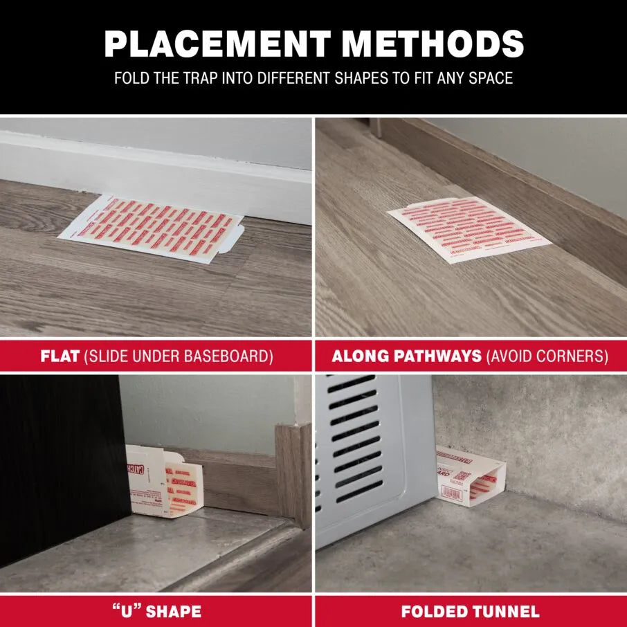Baited Glue Traps Baited Glue Traps
