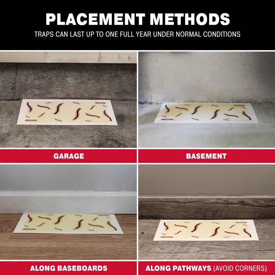 CentipedeXL Centipede Patterned Glue Board Traps CentipedeXL Centipede Patterned Glue Board Traps