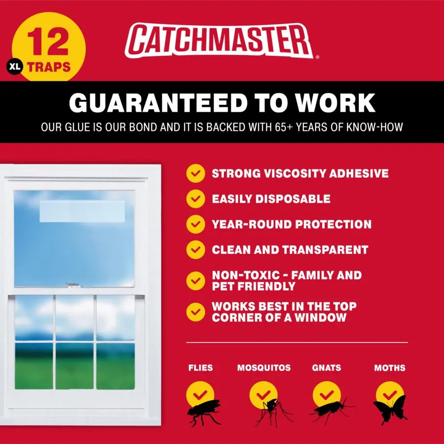 Bug and Fly Clear Window Strip Traps Bug and Fly Clear Window Strip Traps
