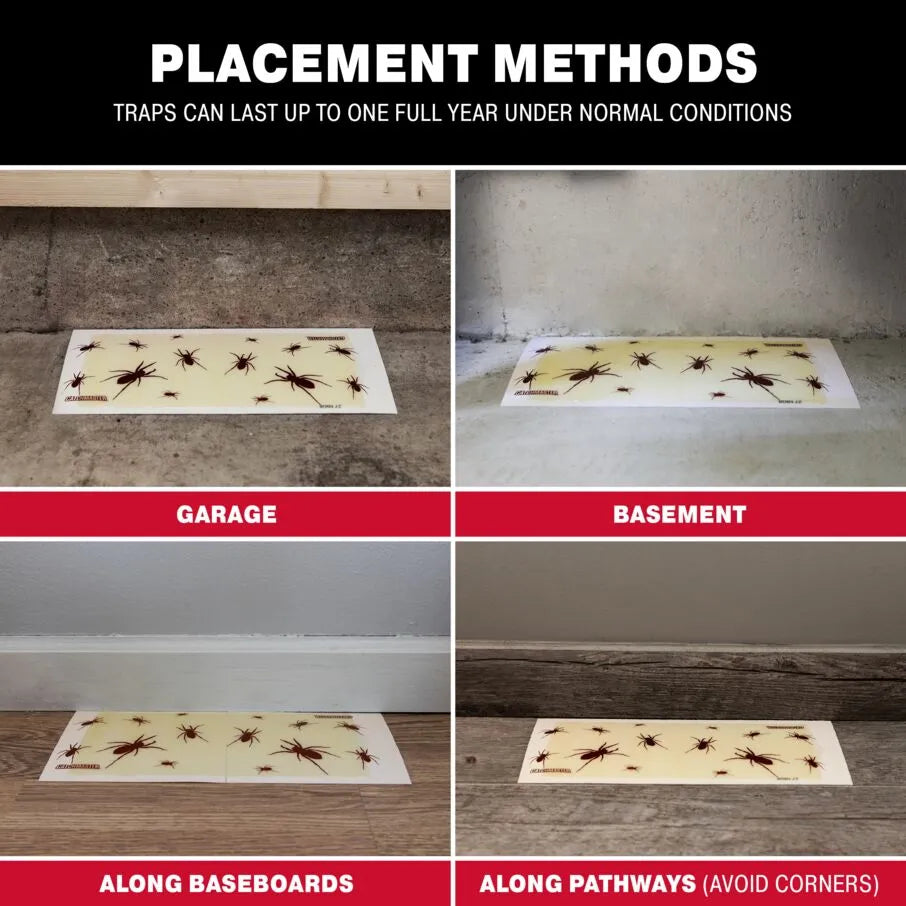 Brown Recluse Spider Glue Board Traps Brown Recluse Spider Glue Board Traps